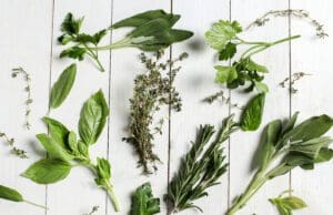 Fűszeres kert kert nélkül, a szomszéd erkélye így biztosan nem lesz zöldebb! Balkonon nevelt fűszernövények