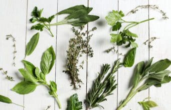 Fűszeres kert kert nélkül, a szomszéd erkélye így biztosan nem lesz zöldebb! Balkonon nevelt fűszernövények