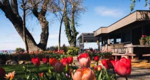 Négycsillagos gasztroélmények a vízpart szerelmeseinek