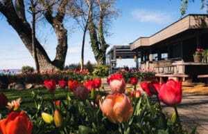 Négycsillagos gasztroélmények a vízpart szerelmeseinek