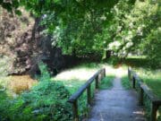 Nyári ötletek kirándulásra Magyarországon Magyaroszág, kiránduló család, nyár, erdő és egy tó