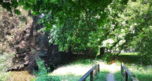 Nyári ötletek kirándulásra Magyarországon Magyaroszág, kiránduló család, nyár, erdő és egy tó