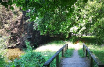 Nyári ötletek kirándulásra Magyarországon Magyaroszág, kiránduló család, nyár, erdő és egy tó