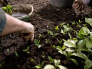 Útmutató férfiaknak Nespresso kapszulák fenntarthatóságáról — 5 fontos tény