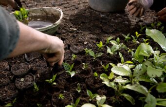 Útmutató férfiaknak Nespresso kapszulák fenntarthatóságáról — 5 fontos tény