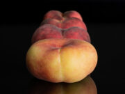 A férfi, aki megtanult a fenekén át lélegezni – és amit ez elmond rólunk A tudomány megtanított minket a fenekünkön át lélegezni. De amit valójában elfelejtettünk, az az, hogyan kell emberként levegőt venni.