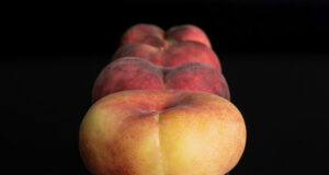 A férfi, aki megtanult a fenekén át lélegezni – és amit ez elmond rólunk A tudomány megtanított minket a fenekünkön át lélegezni. De amit valójában elfelejtettünk, az az, hogyan kell emberként levegőt venni.