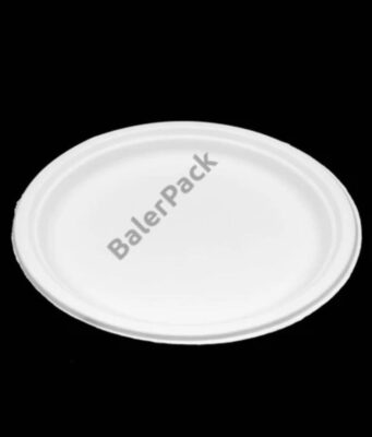 A fenntartható vendéglátás új sztárja a cukornád tányér