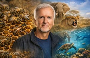 James Cameron dokumentumfilm ajánlása: mit nézz a Secrets of the Bees után