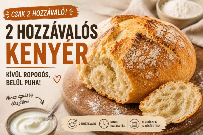 házi kenyér, gyors kenyér recept, 2 hozzávalós kenyér, egyszerű sütés, comfort food, házi pékség, életmód, konyhai inspiráció, gyors receptek, friss kenyér