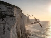 East Yorkshire utazás: Anglia legalulértékeltebb vidéke East Yorkshire utazás: Anglia legalulértékeltebb vidéke