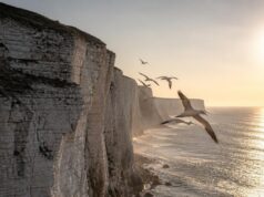 East Yorkshire utazás: Anglia legalulértékeltebb vidéke East Yorkshire utazás: Anglia legalulértékeltebb vidéke