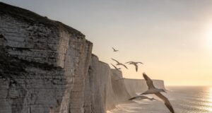 East Yorkshire utazás: Anglia legalulértékeltebb vidéke East Yorkshire utazás: Anglia legalulértékeltebb vidéke